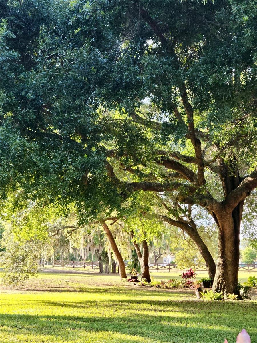 Image 36 of 39 For 21289 County Road 455