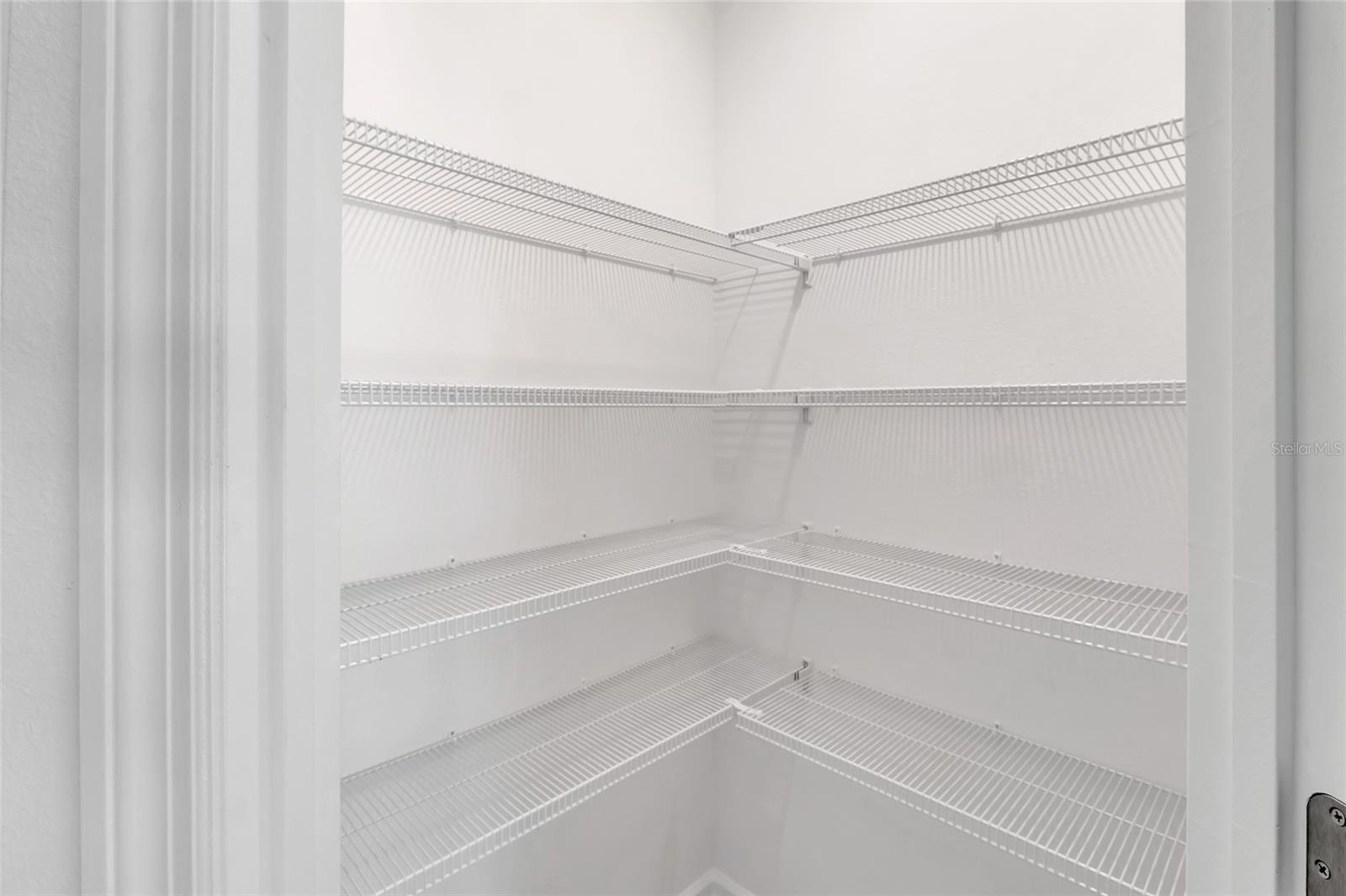 Image 10 of 41 For 275 Puma Loop