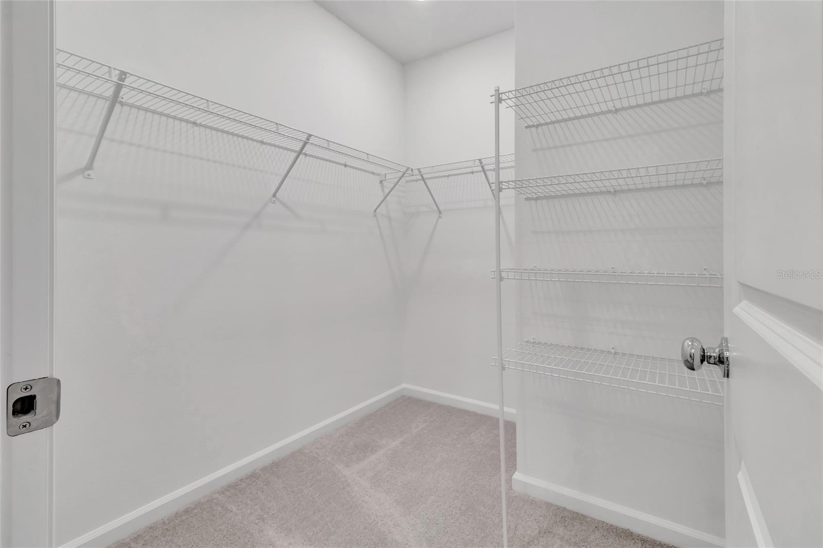 Image 18 of 41 For 275 Puma Loop