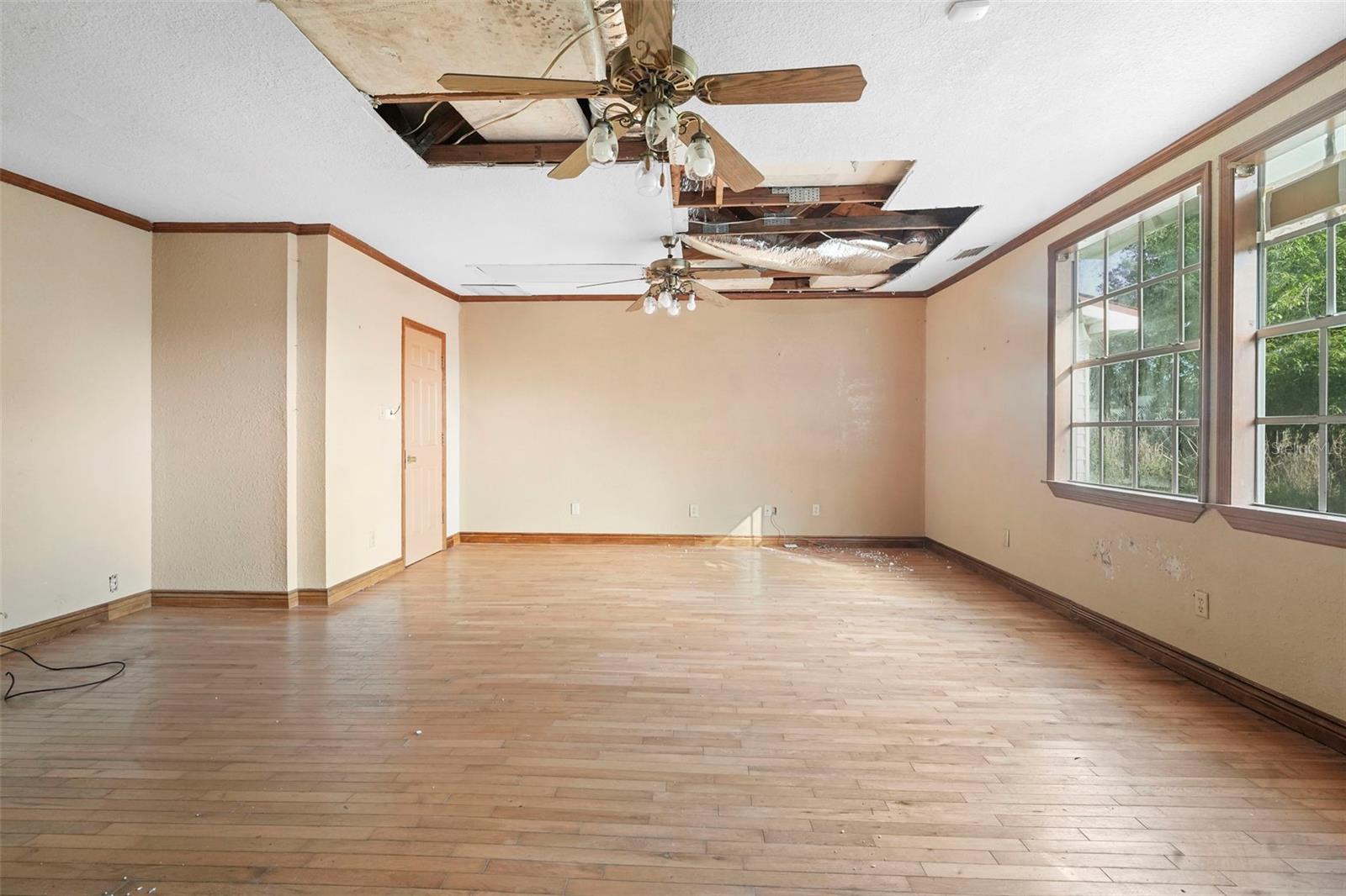 Image 24 of 67 For 227 Hawthorne Avenue