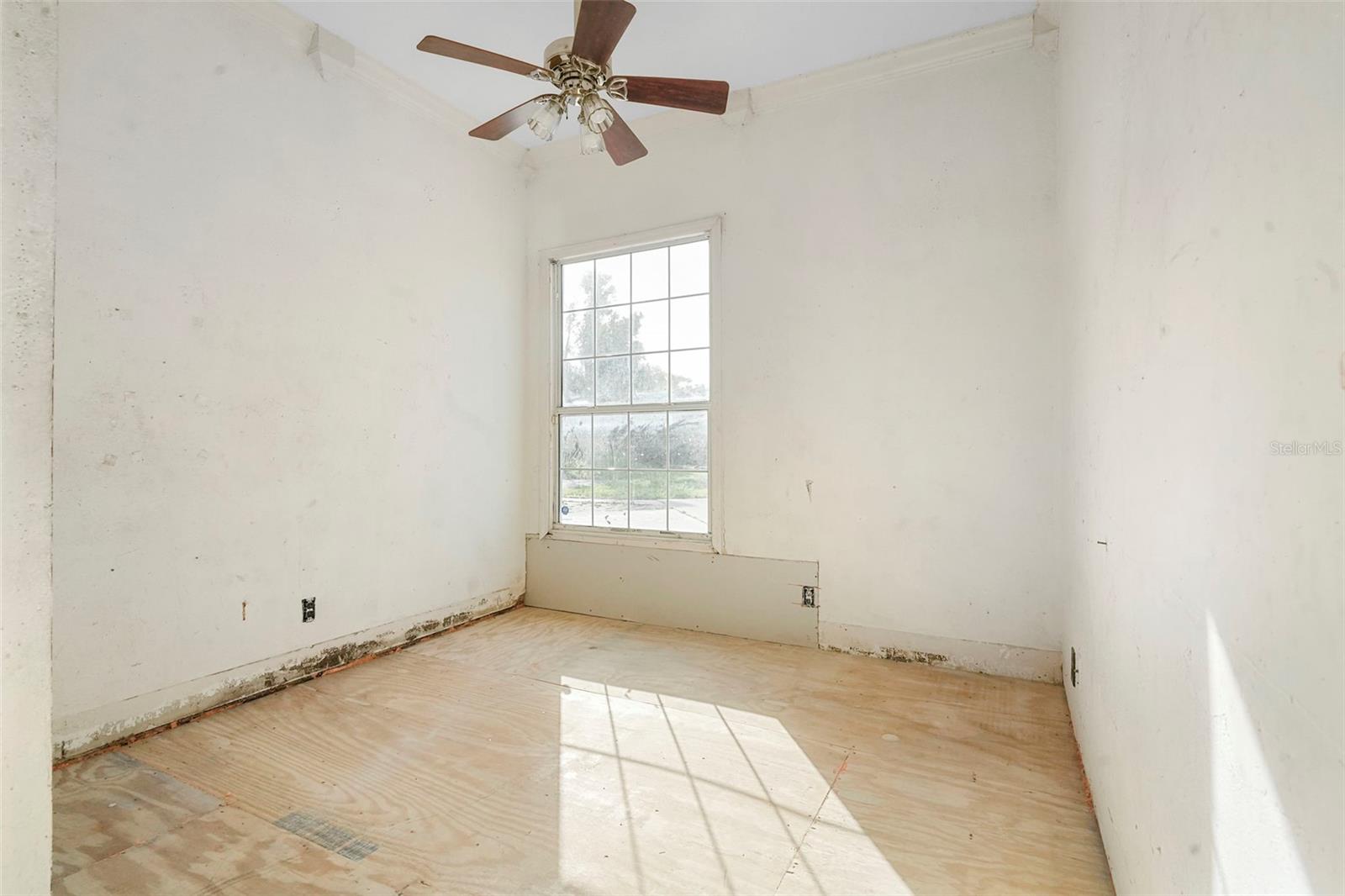 Image 36 of 67 For 227 Hawthorne Avenue