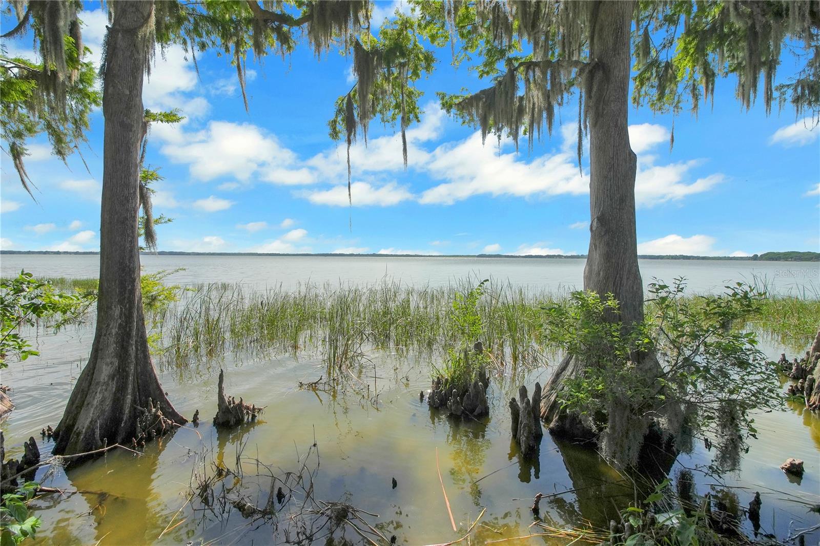 Image 61 of 69 For 30437 Orange Drive