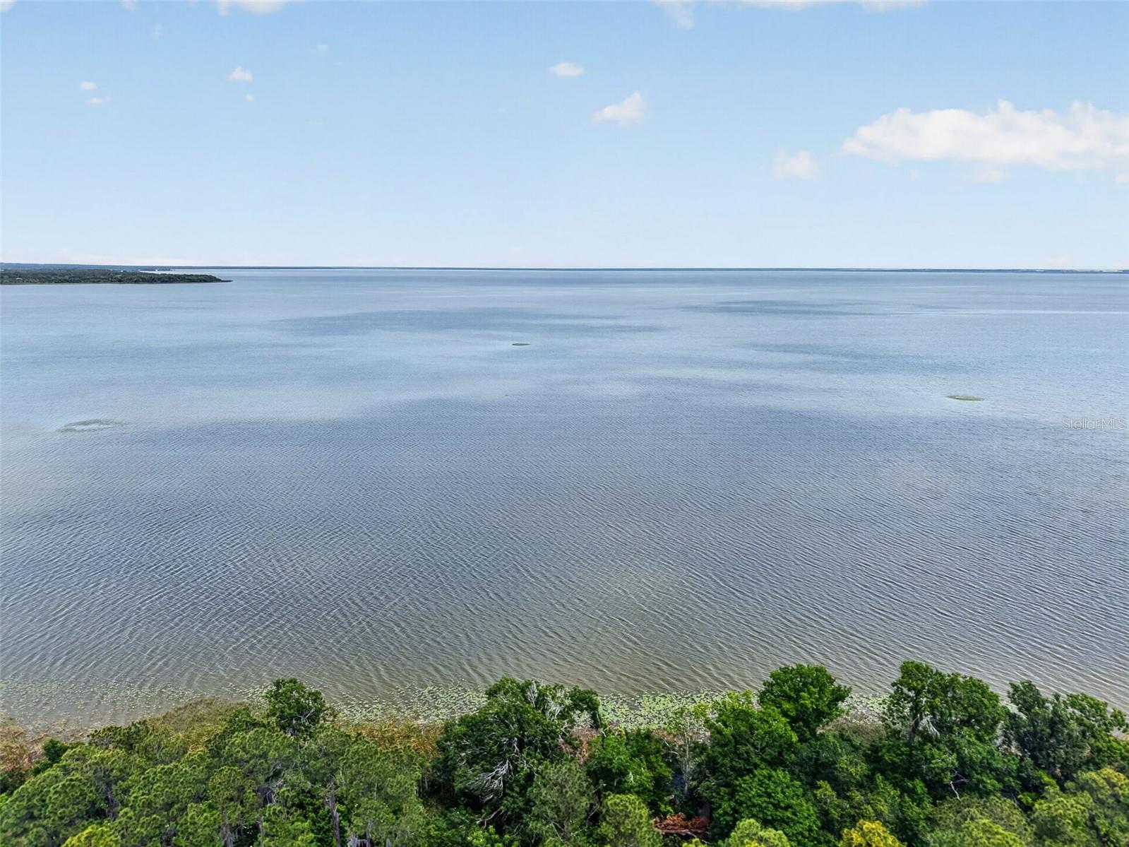 Image 60 of 72 For 250 Walker Street