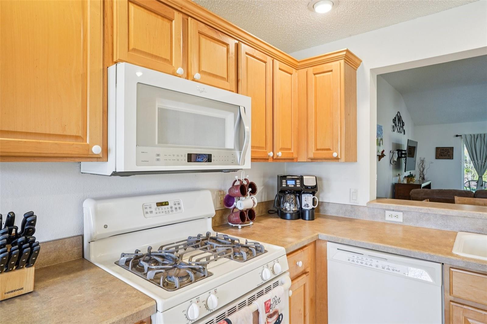 Listing photo id 19 for 16596 77th Northridge Court