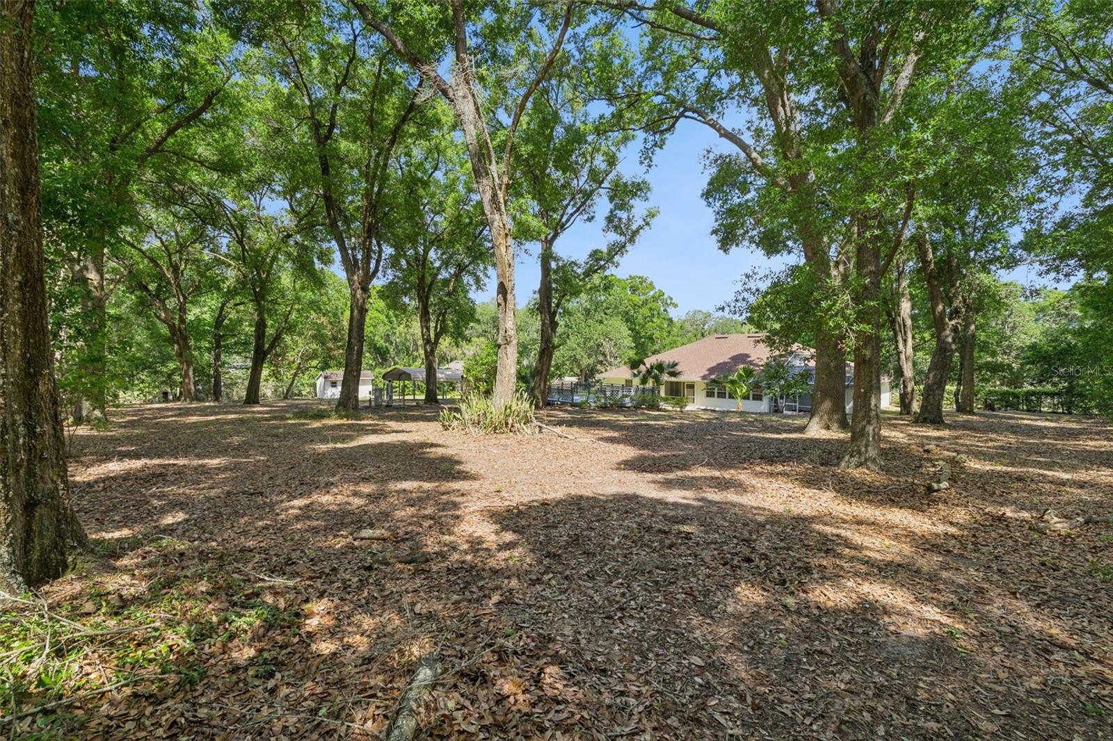 Image 46 of 51 For 14820 County Road 561a