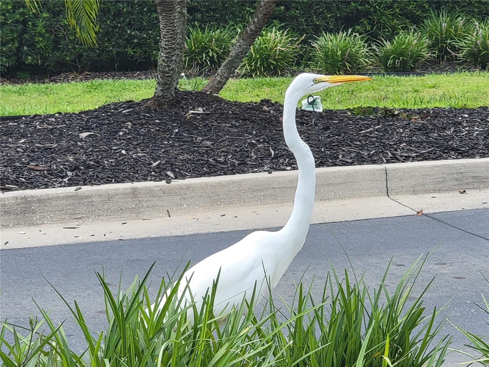 Image 75 of 78 For 3723 Mulberry Grove Loop