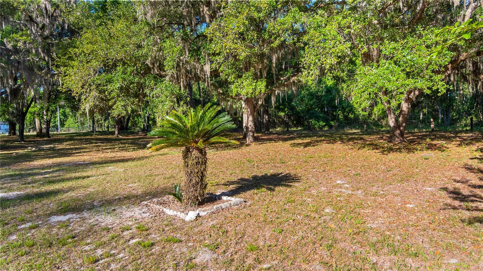 Image 17 of 32 For Legacy Woods