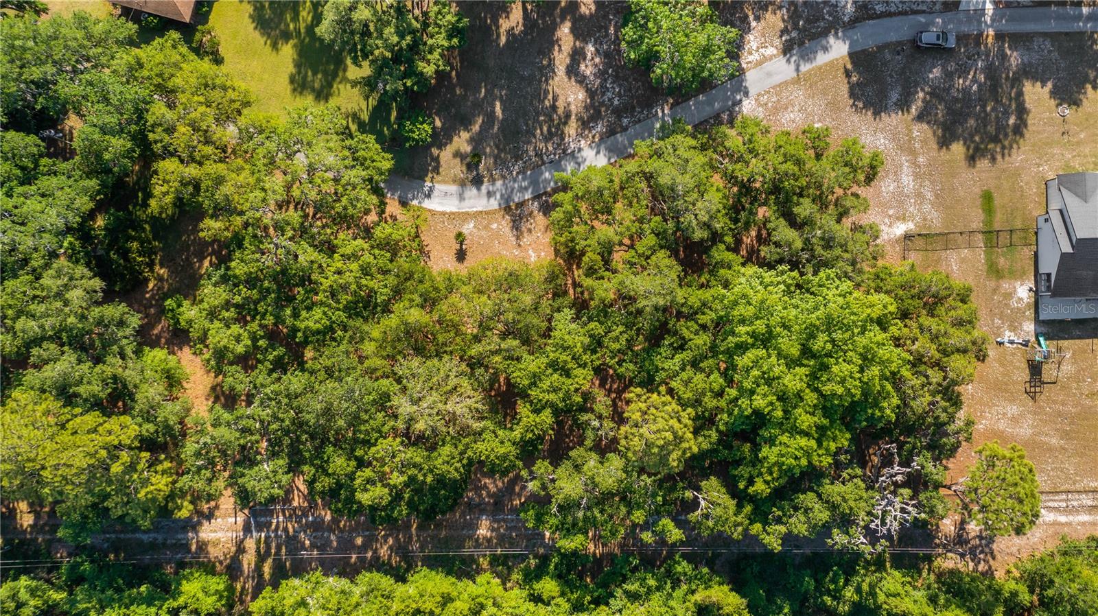 Image 23 of 32 For Legacy Woods