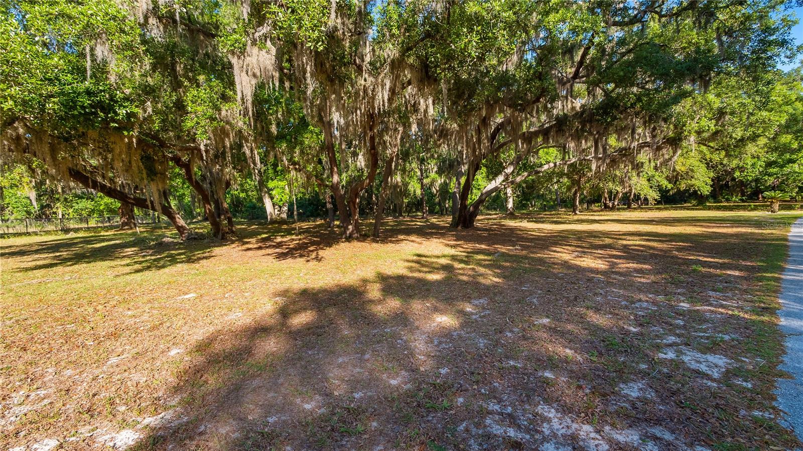 Image 24 of 32 For Legacy Woods