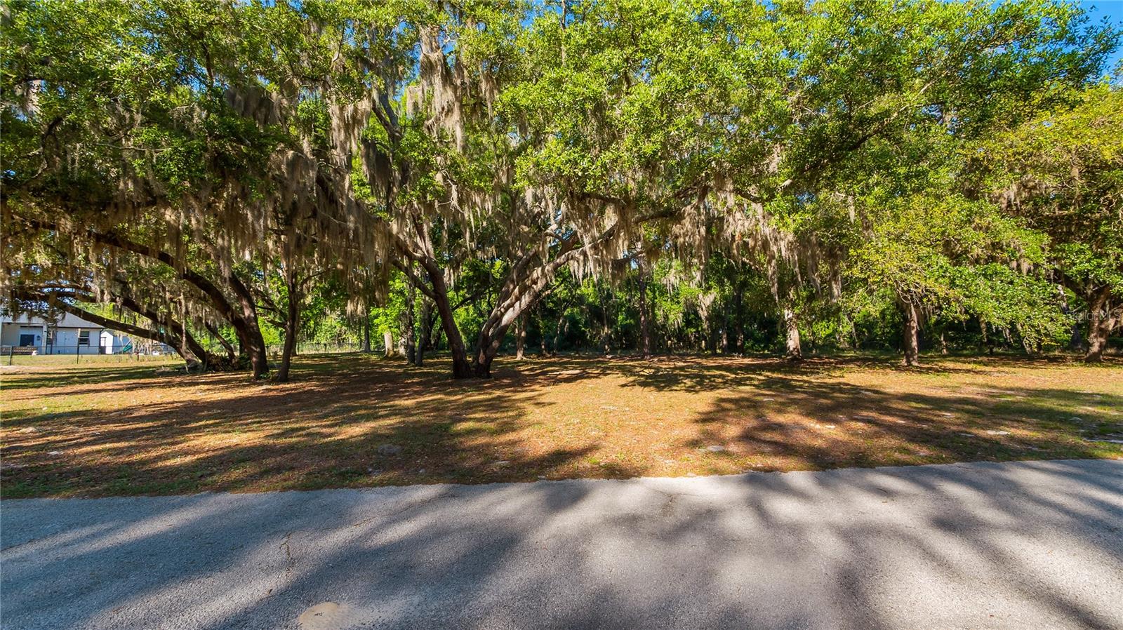 Image 25 of 32 For Legacy Woods