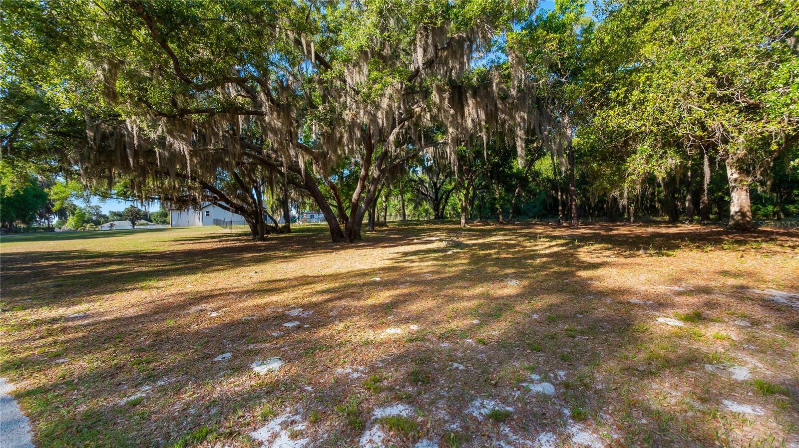 Image 26 of 32 For Legacy Woods