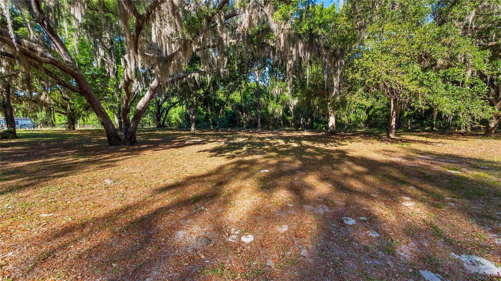 Image 27 of 32 For Legacy Woods