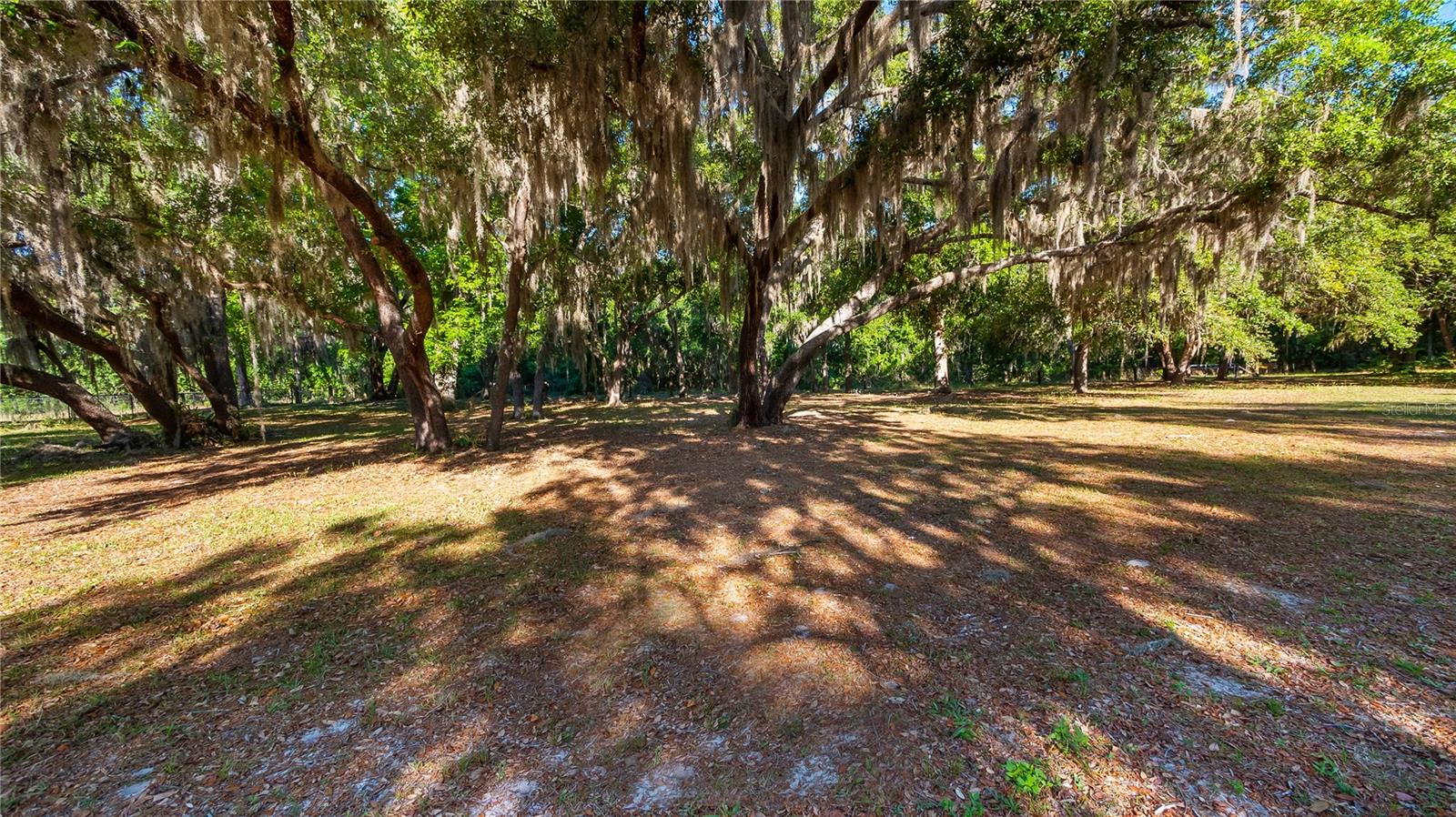 Image 29 of 32 For Legacy Woods