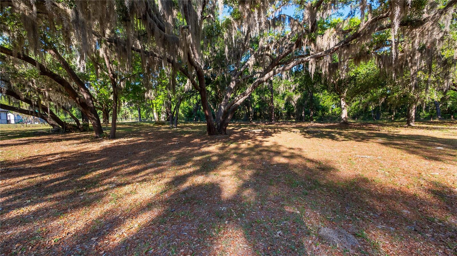 Image 32 of 32 For Legacy Woods