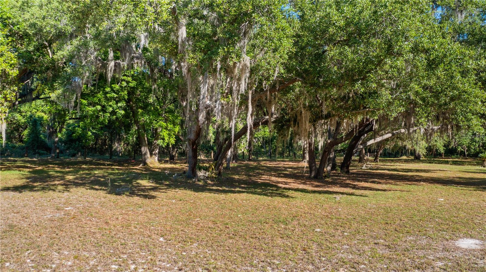 Image 8 of 32 For Legacy Woods