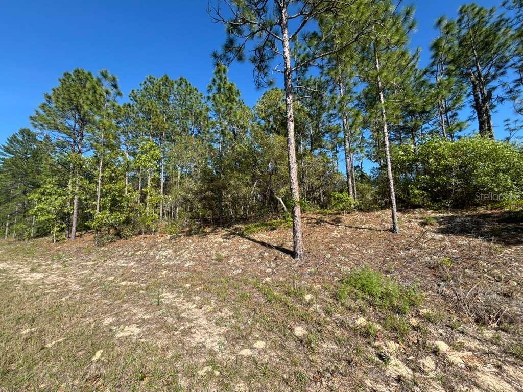 Image 2 of 5 For 9161 Marcus Way