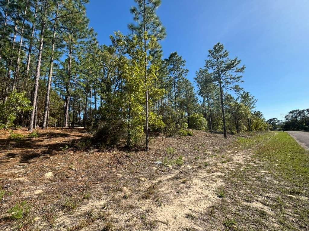 Image 3 of 5 For 9161 Marcus Way