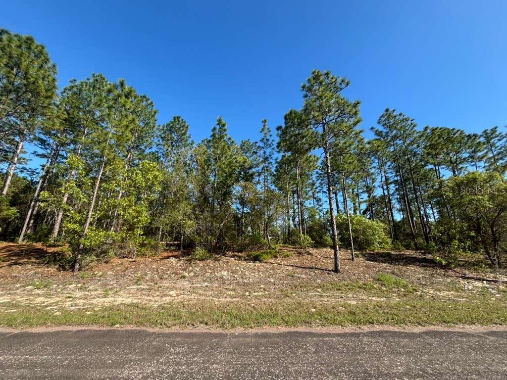 Image 4 of 5 For 9161 Marcus Way