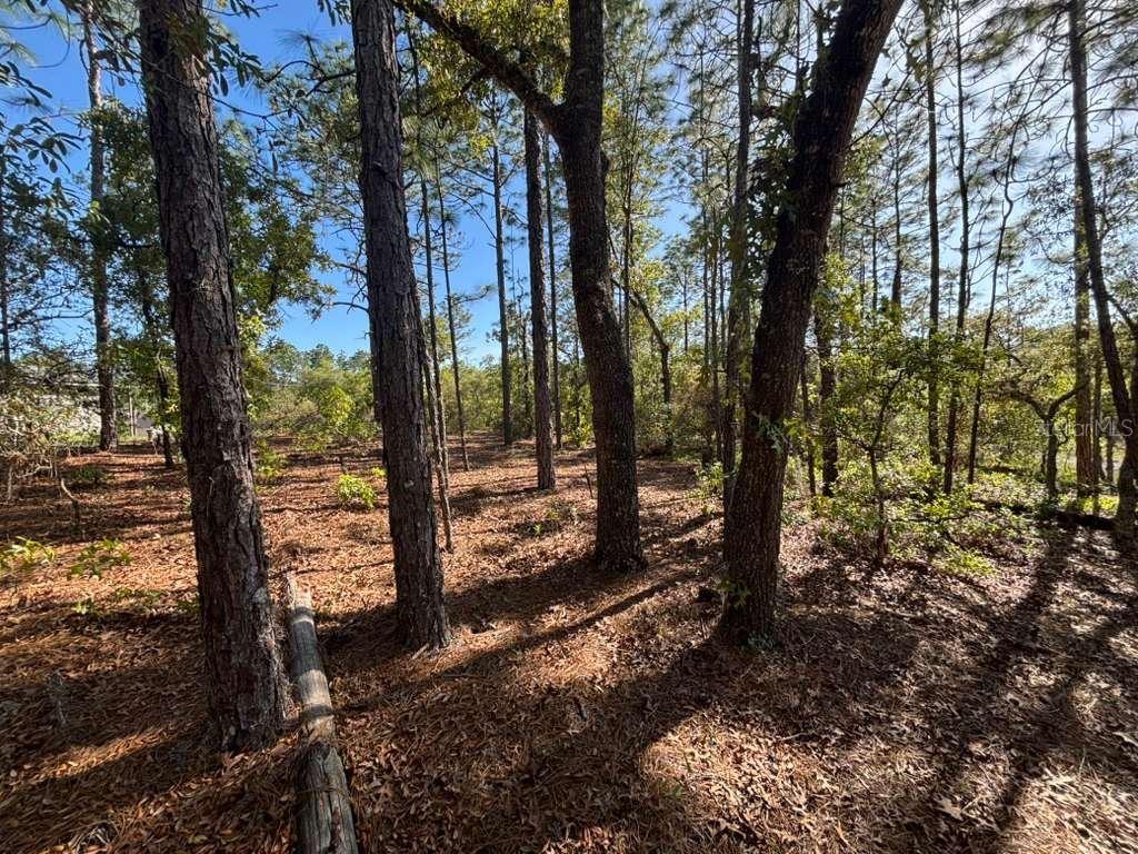 Image 5 of 5 For 9161 Marcus Way