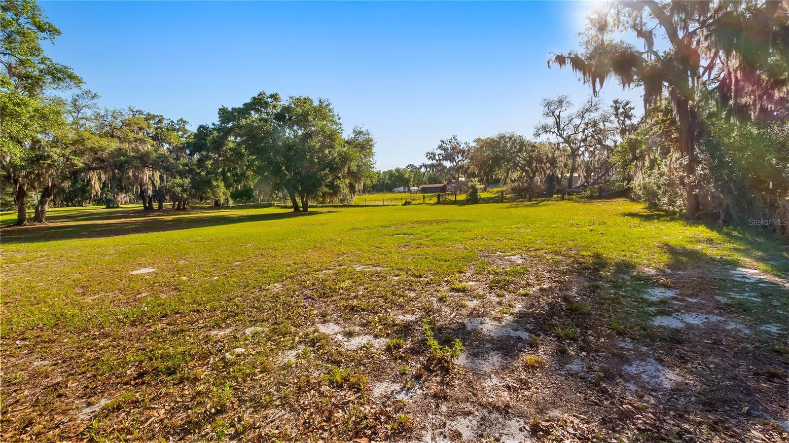 Image 18 of 29 For Legacy Woods