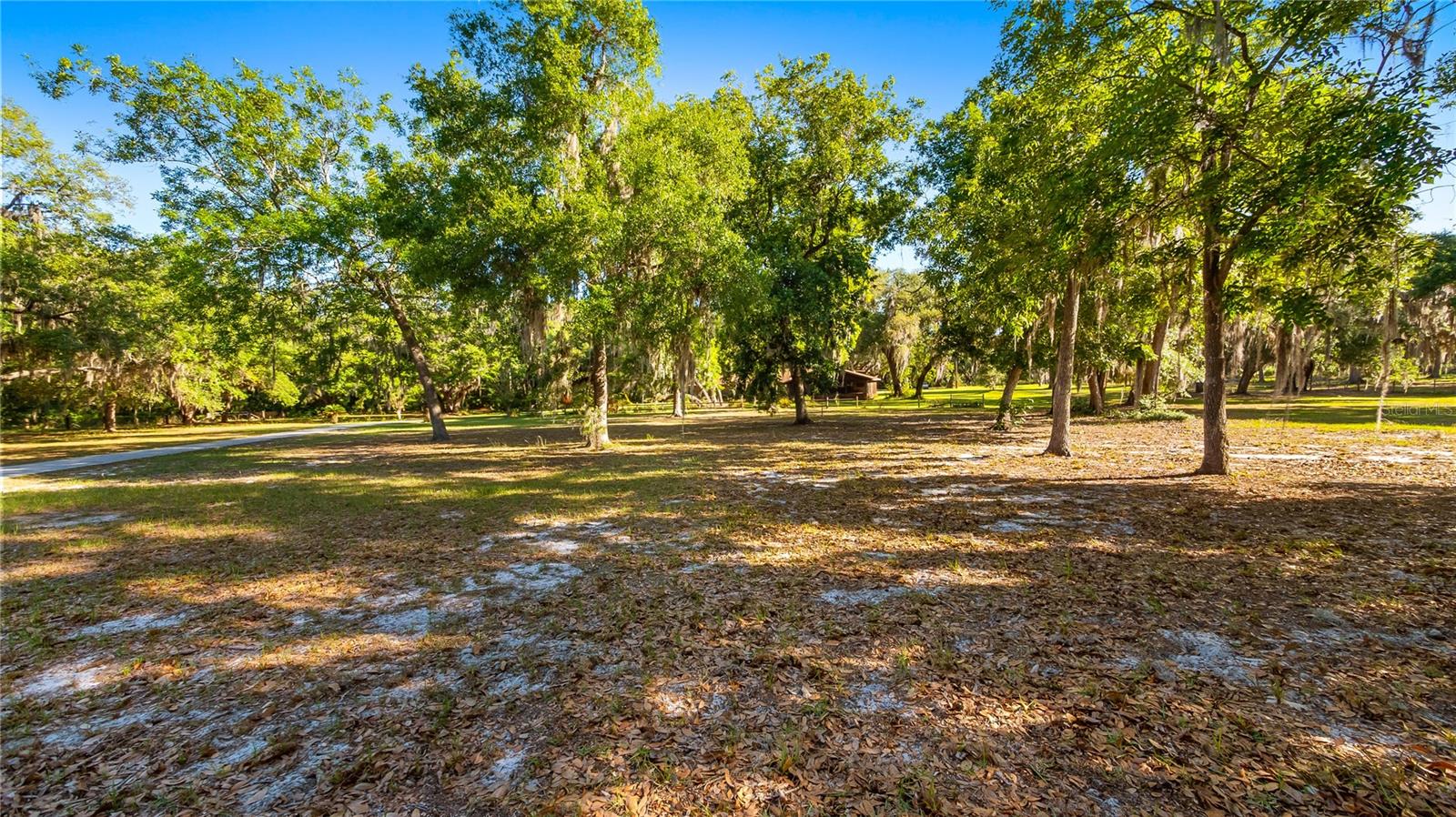 Image 20 of 29 For Legacy Woods