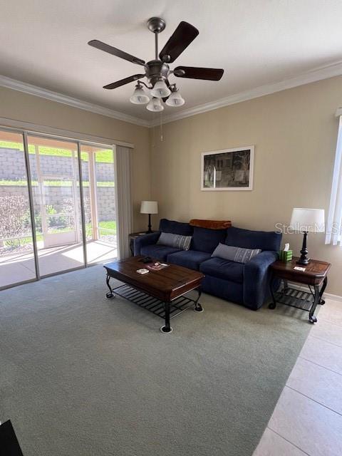 Image 11 of 51 For 2427 Caledonian Street