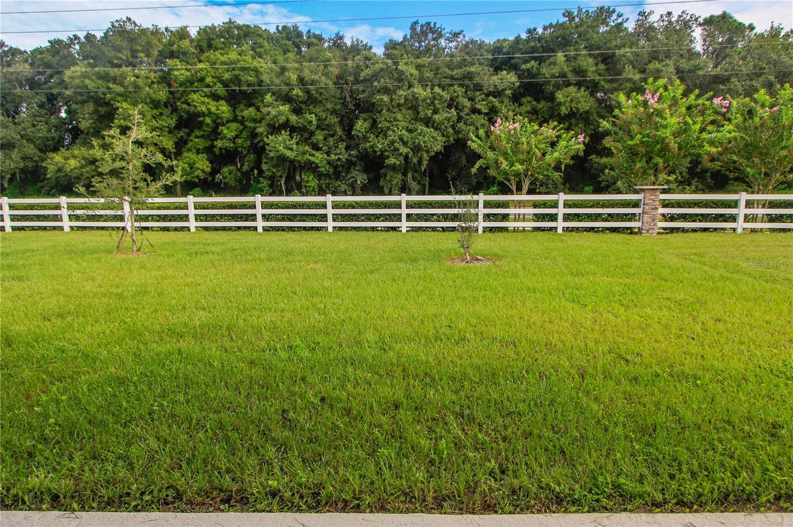 Image 6 of 29 For 5208 Meadow Song Drive