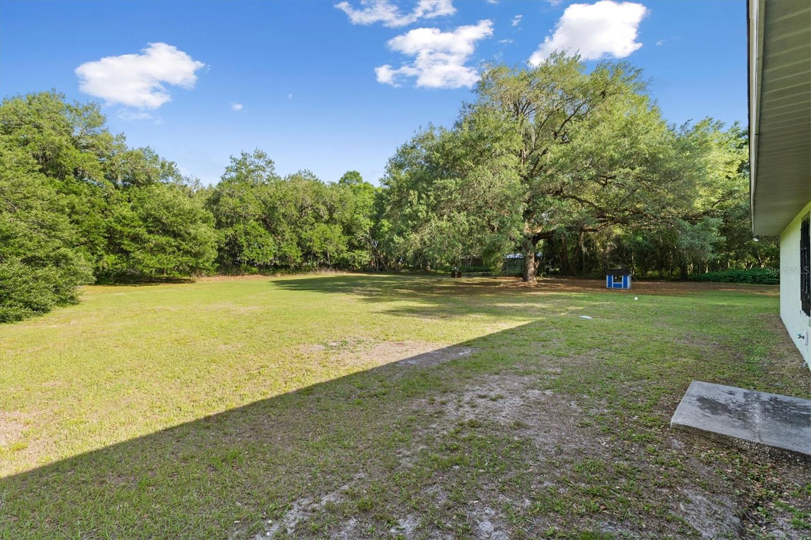 Image 29 of 37 For 7175 County Road 213