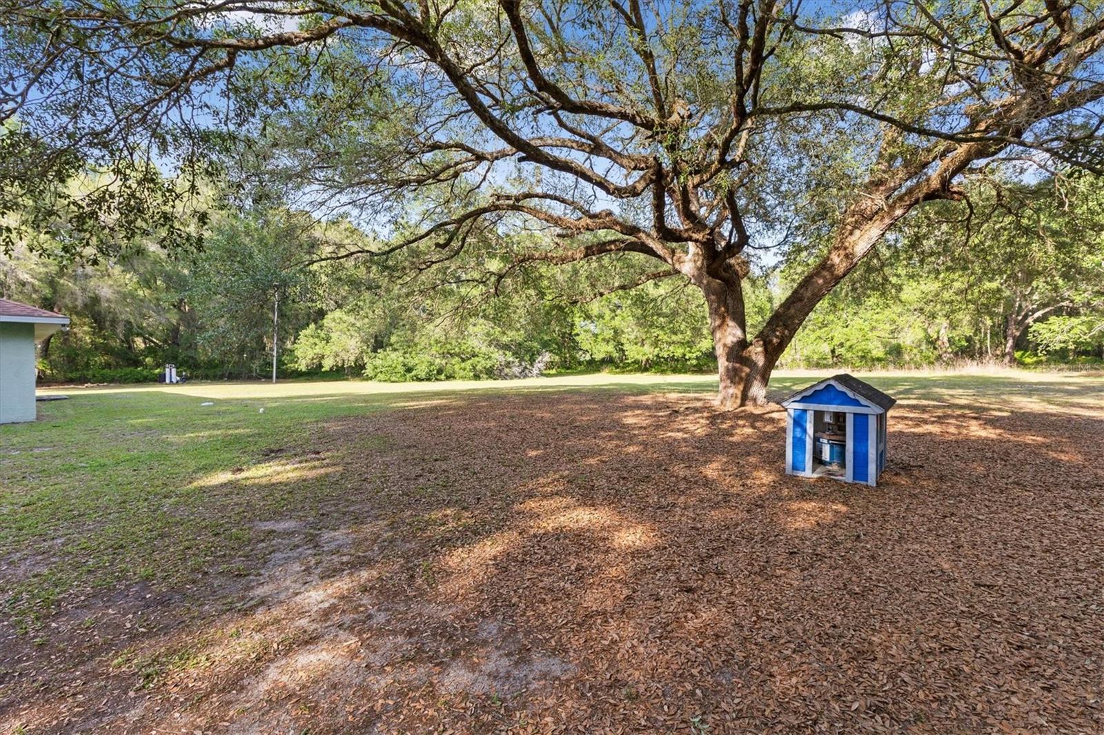 Image 31 of 37 For 7175 County Road 213