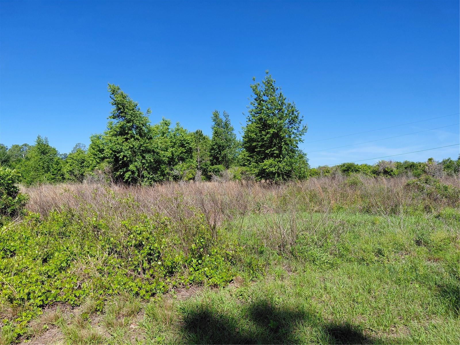 Image 2 of 12 For Coffee Creek Lane