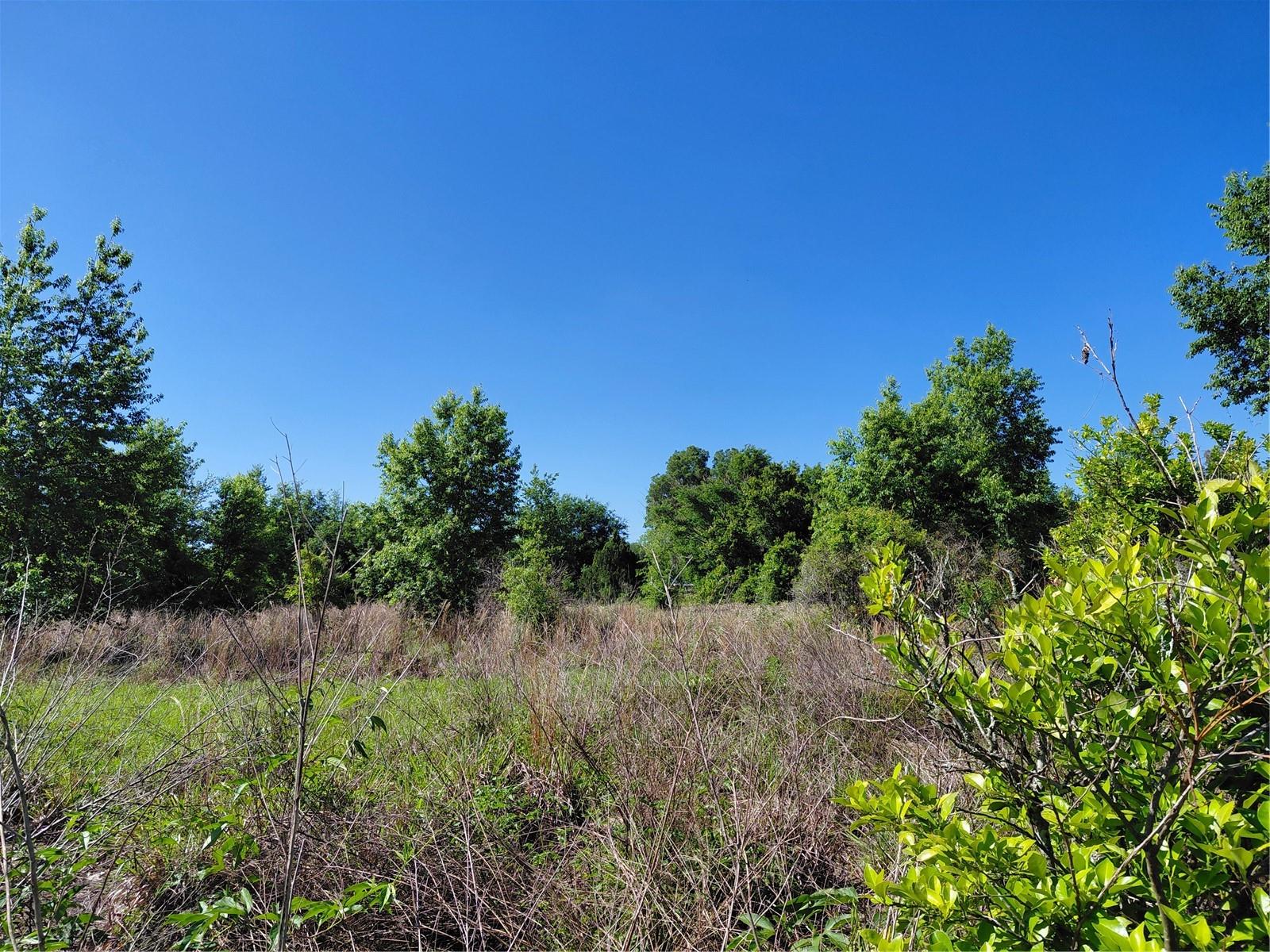 Image 4 of 12 For Coffee Creek Lane