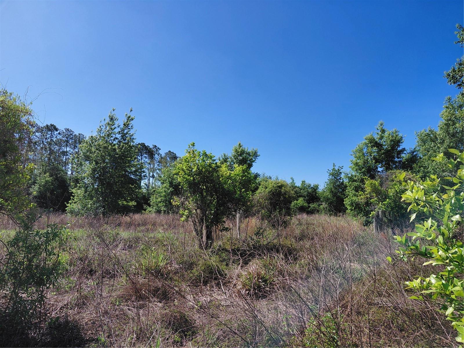 Image 5 of 12 For Coffee Creek Lane