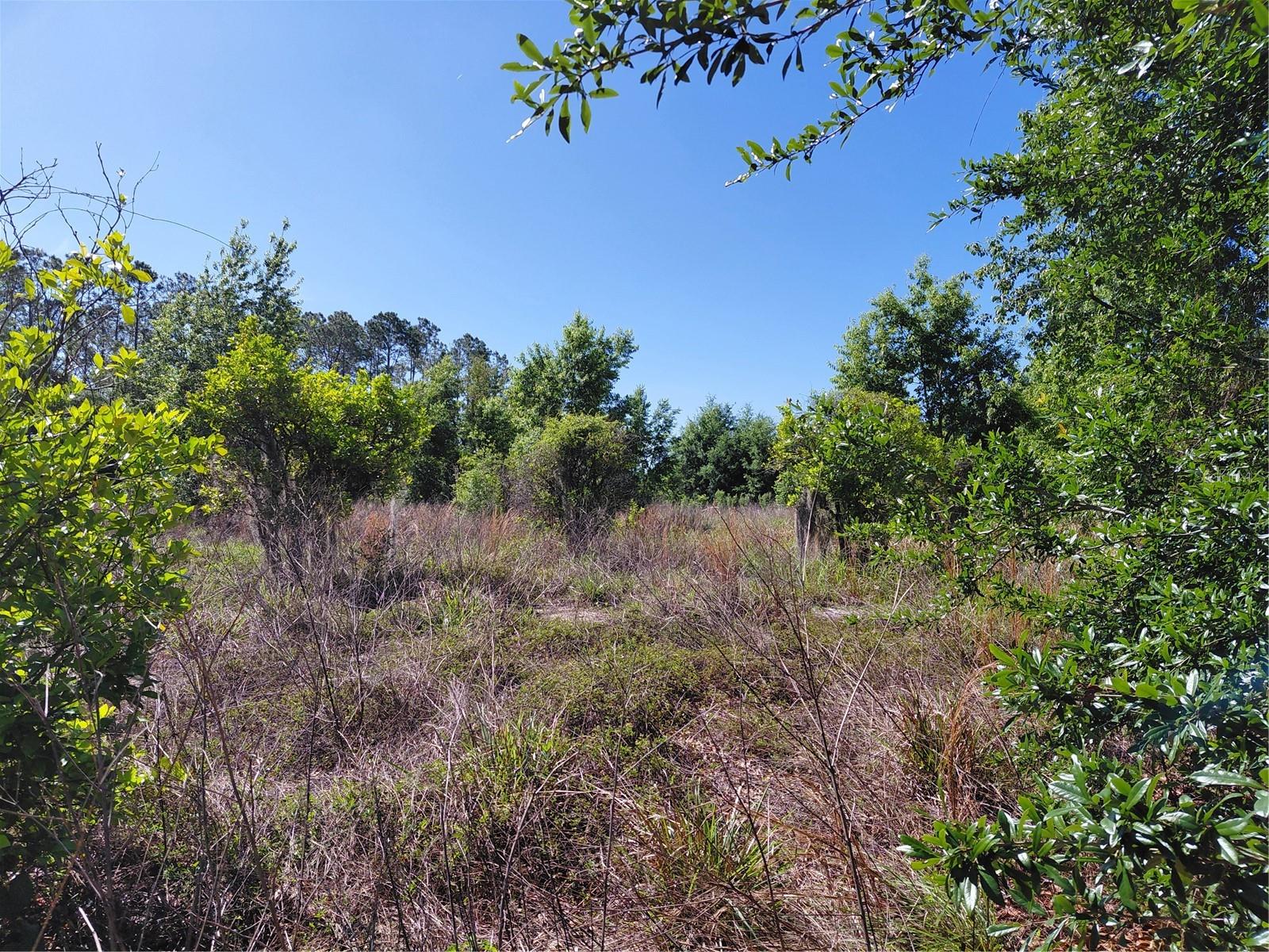 Image 6 of 12 For Coffee Creek Lane