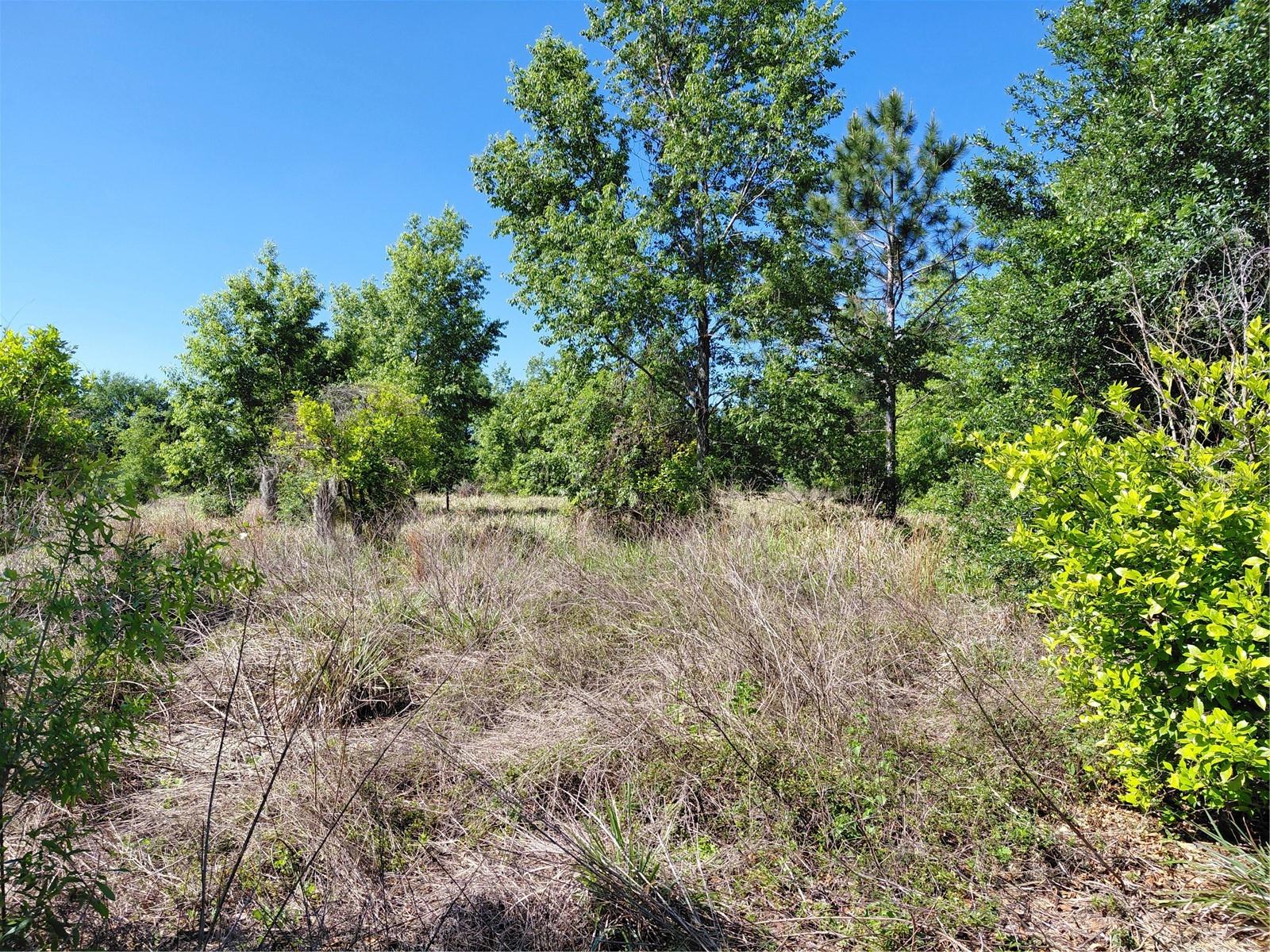 Image 7 of 12 For Coffee Creek Lane