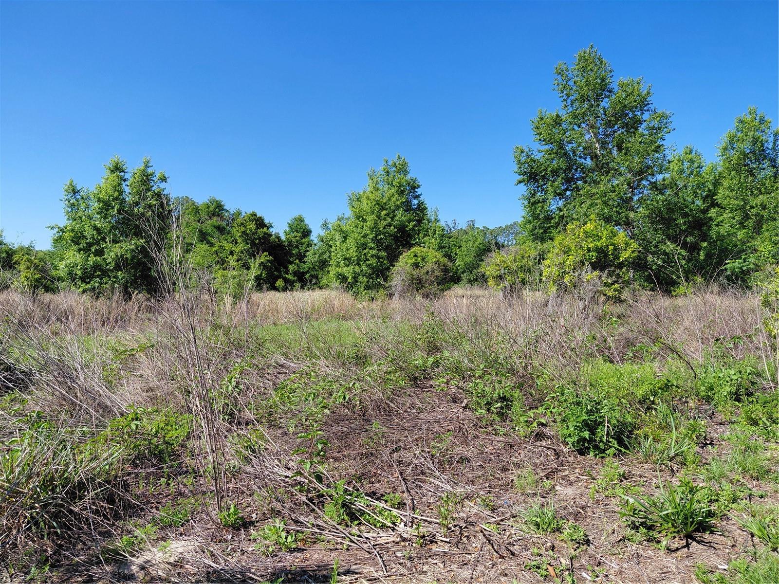 Image 8 of 12 For Coffee Creek Lane