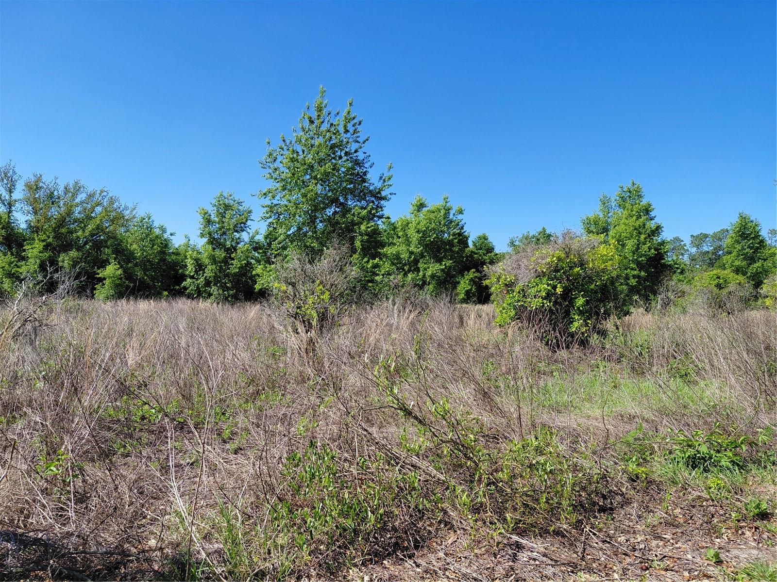 Image 9 of 12 For Coffee Creek Lane