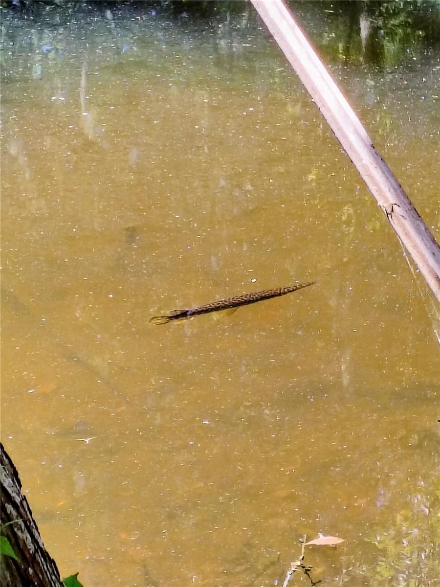 Image 10 of 10 For  Cr 457  