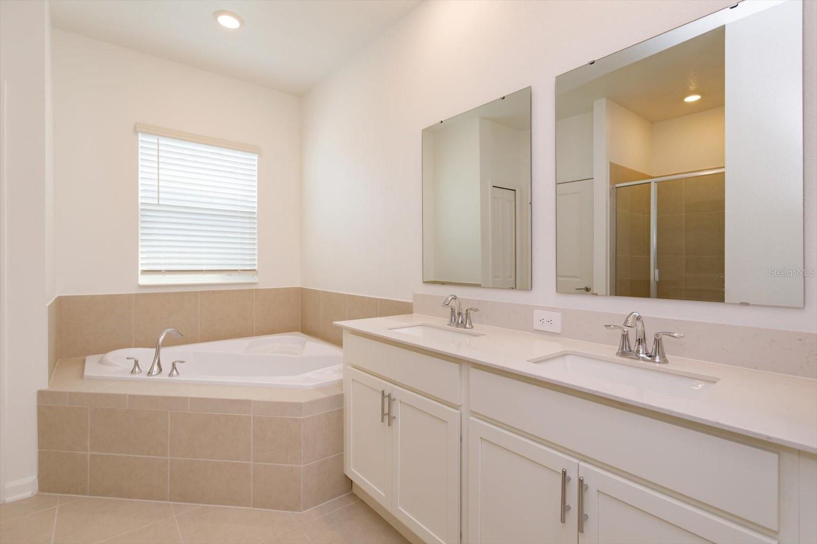 Image 8 of 18 For 2965 Good Vibes Way