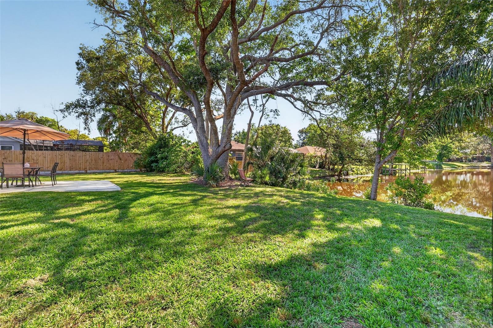 Image 42 of 50 For 335 Vincent Drive