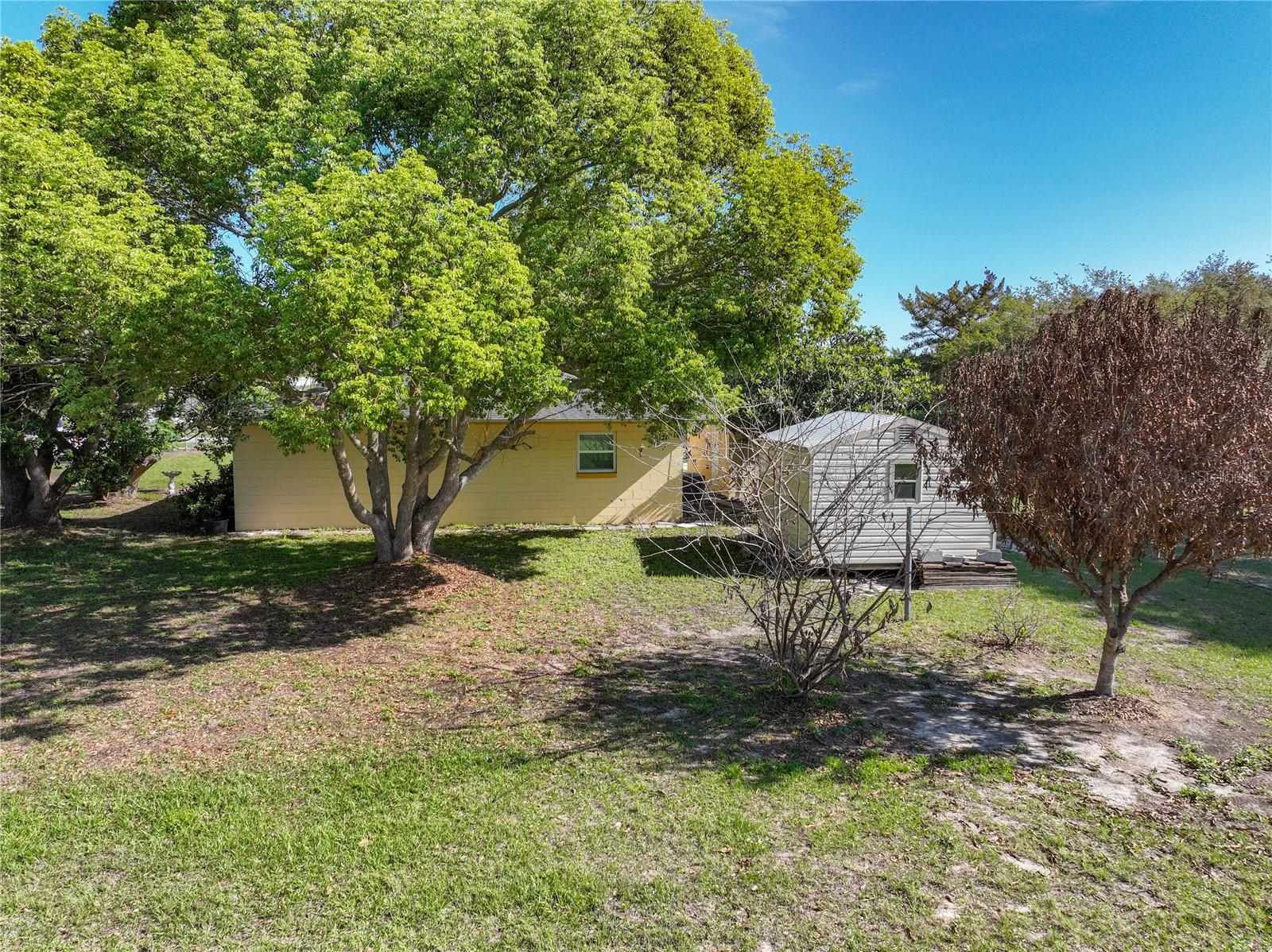 Image 46 of 55 For 612 Palmetto Drive