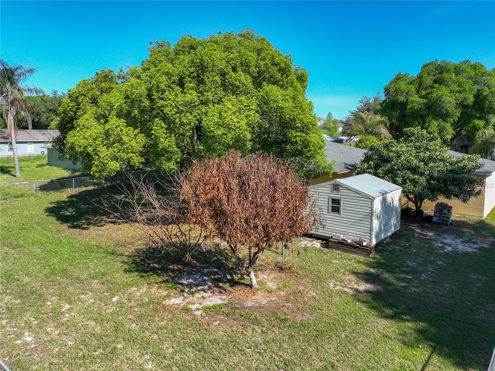 Image 47 of 55 For 612 Palmetto Drive