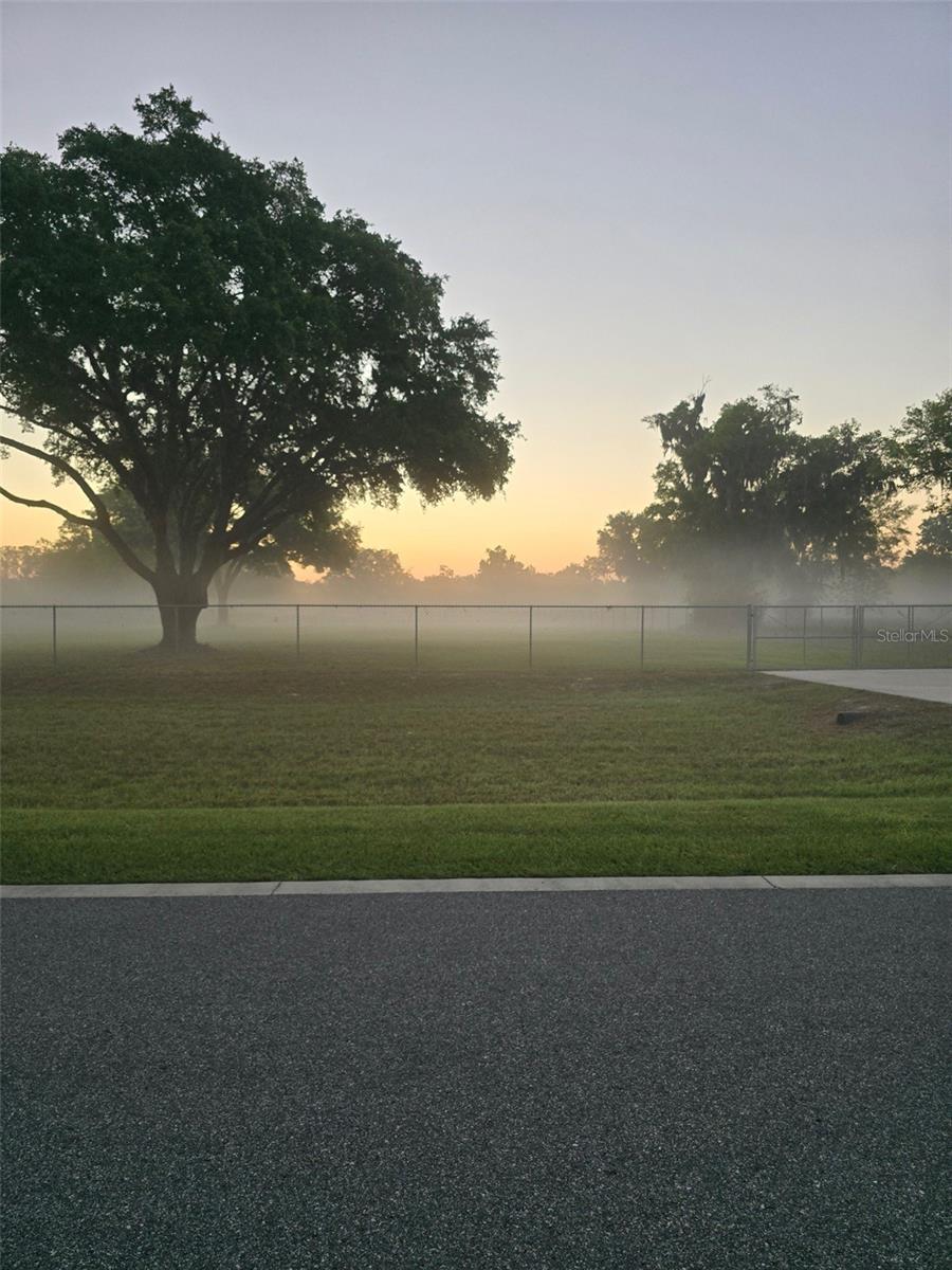 Image 9 of 9 For 980 Duck Box Road