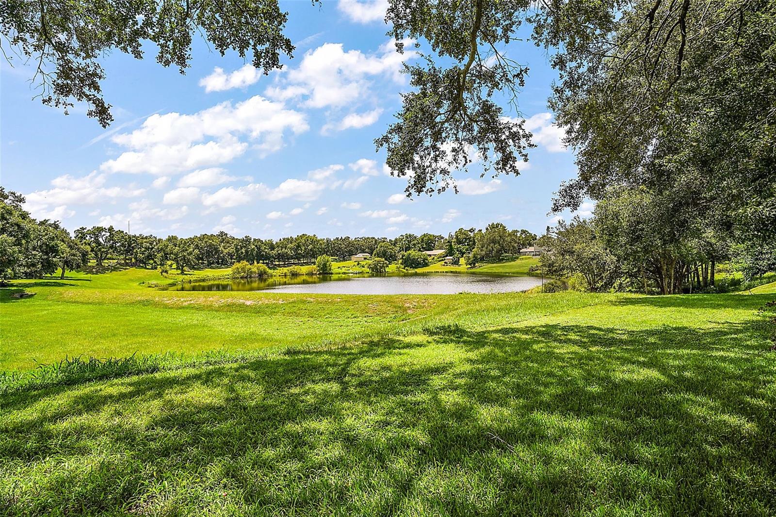 Image 49 of 57 For 11106 Oakshore Lane