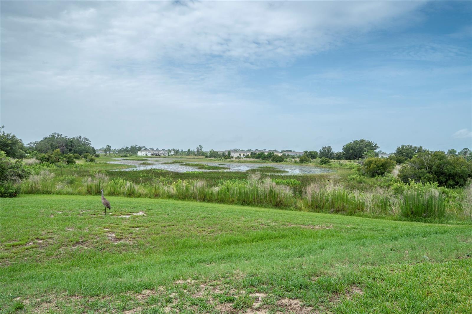 Image 22 of 22 For 212 Primrose Drive