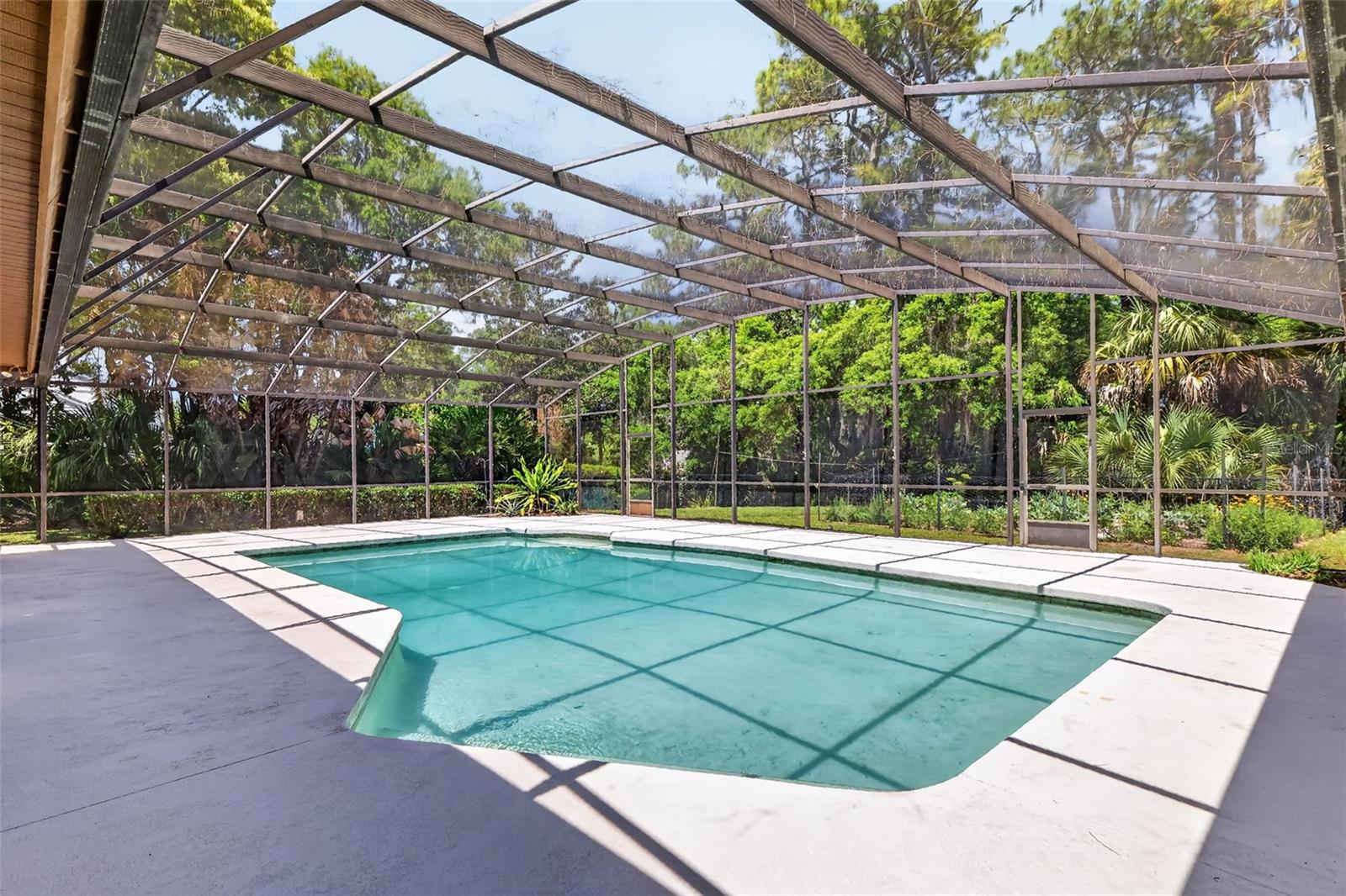 Image 44 of 49 For 1109 Elysium Boulevard