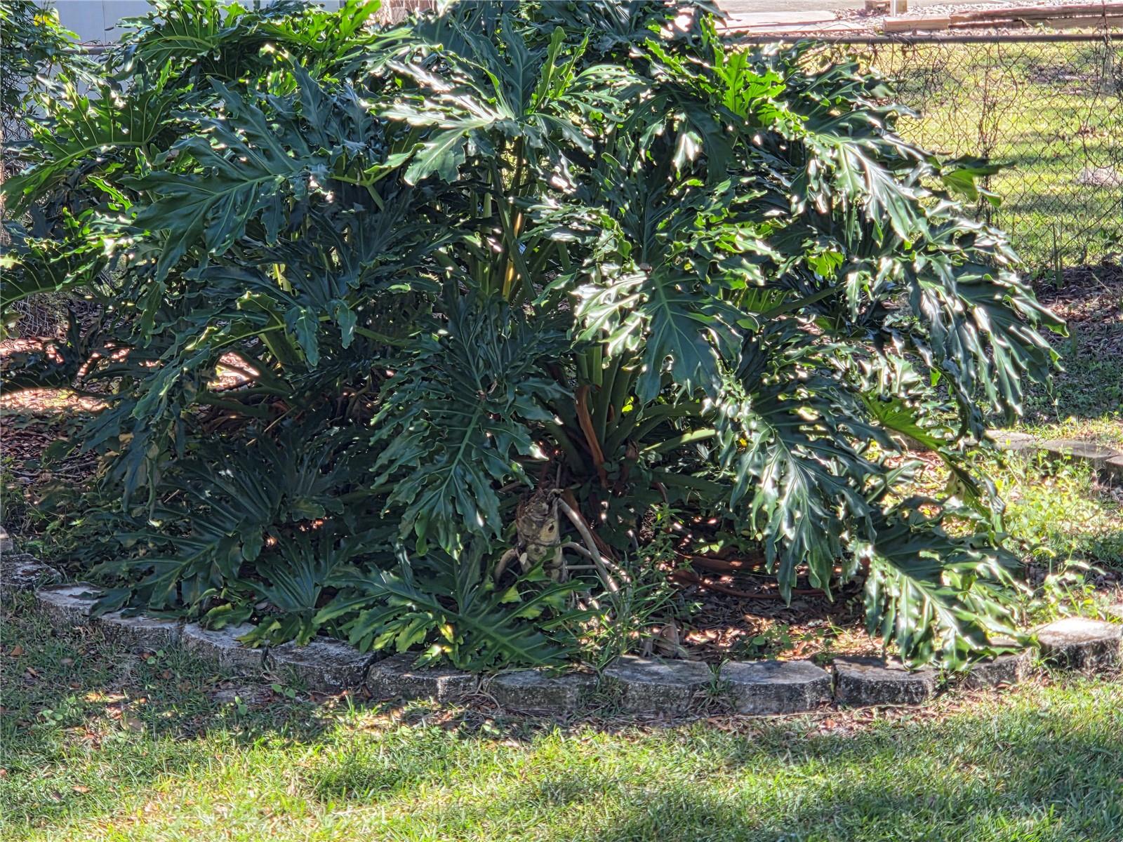 Image 18 of 53 For 1846 Fruitland Park Boulevard