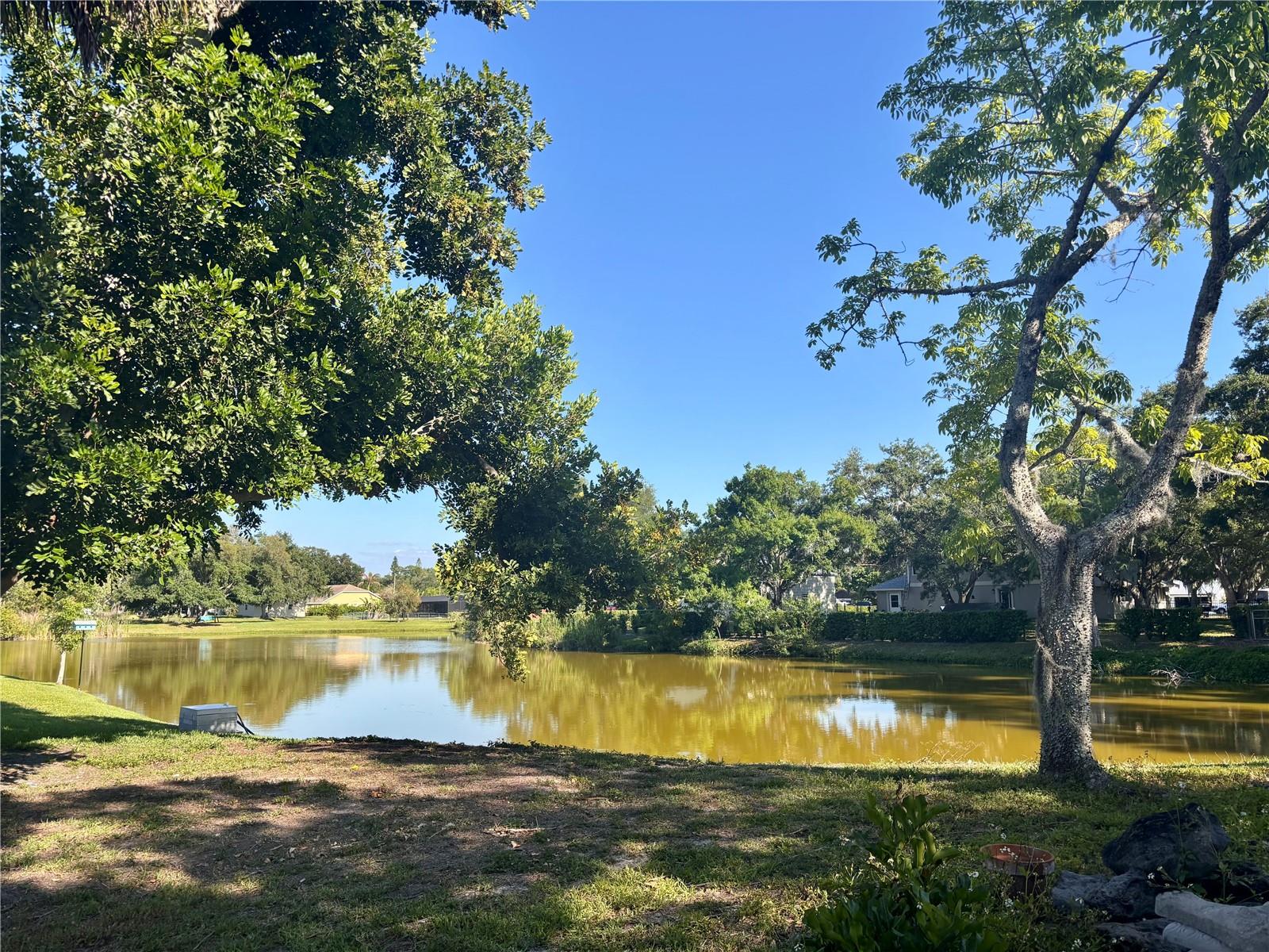 Image 16 of 38 For 6104 26th Avenue E