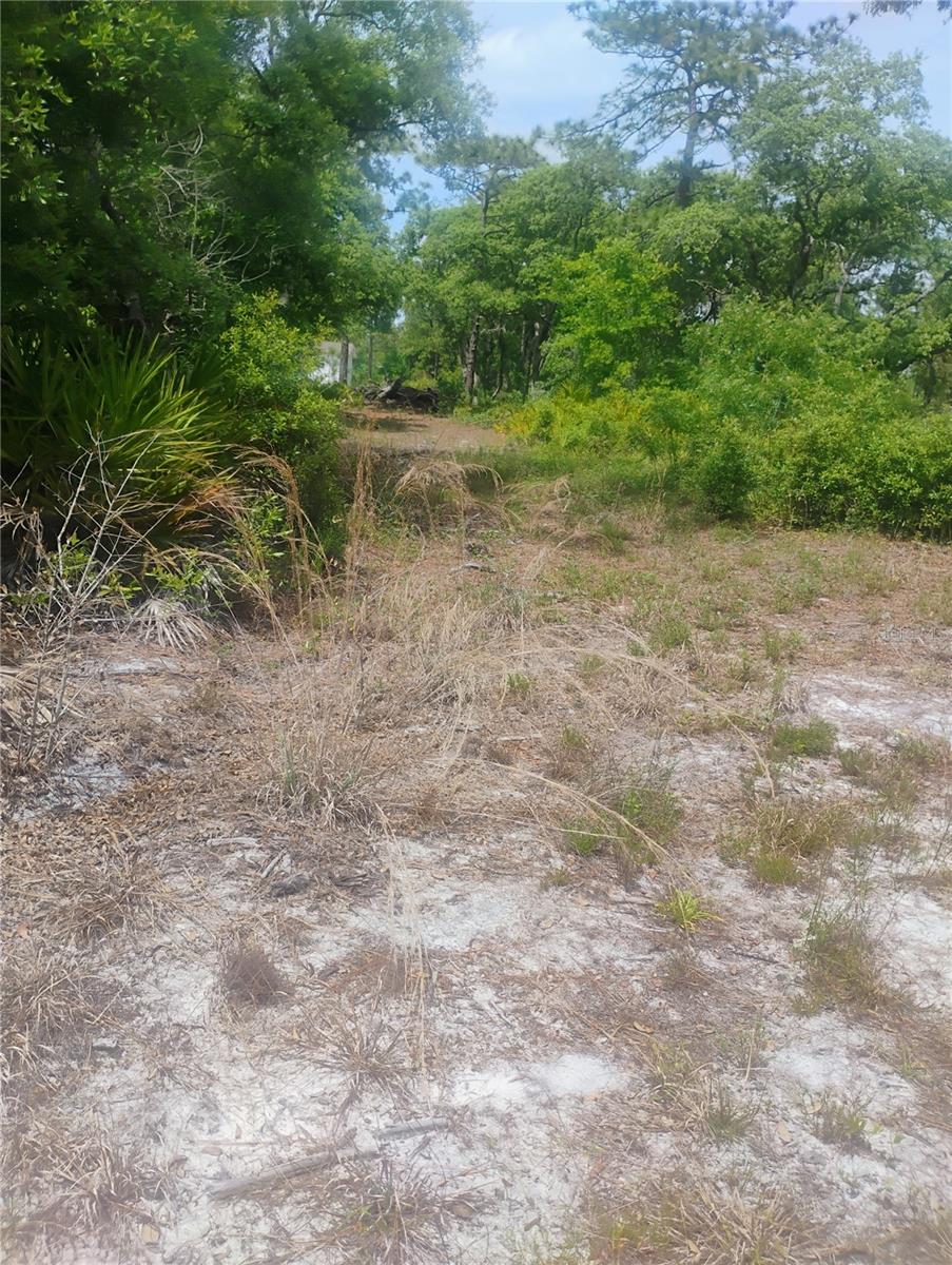 Listing Details for Brookside Circle, MOUNT DORA, FL 32757