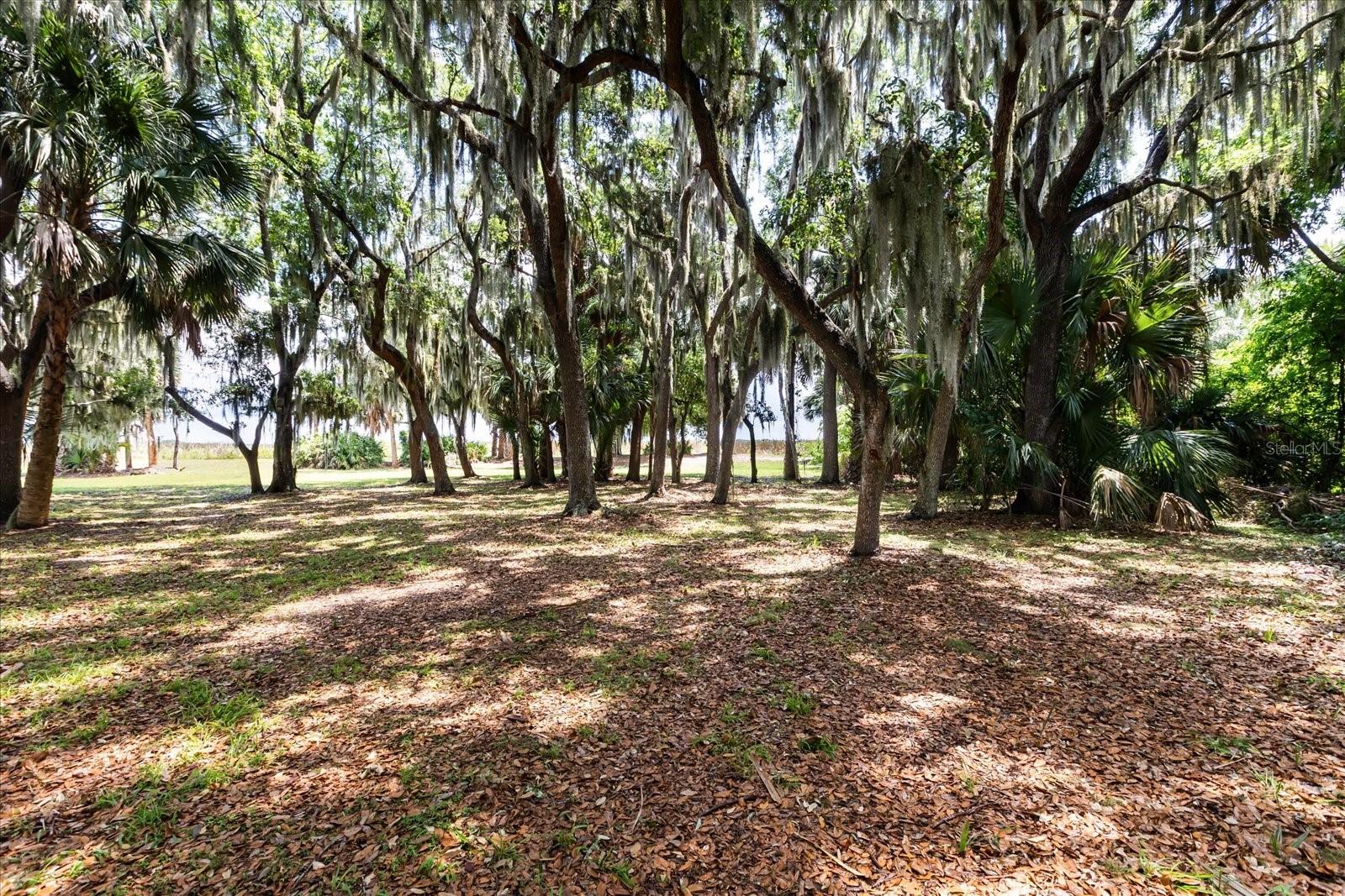 Image 6 of 36 For Tbd Deer Island Road