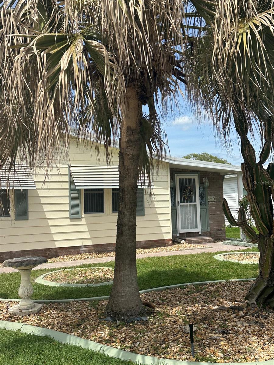 Image 2 of 38 For 907 Orchid Street